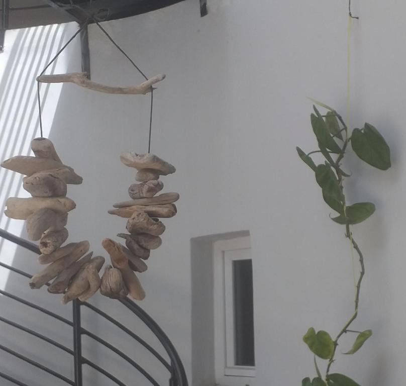 Fotografie z fotogalerie ubytování La Casita v destinaci Essaouira