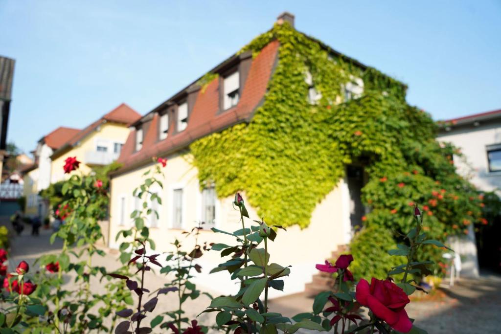 un edificio cubierto de hiedra con rosas rojas delante de él en Weingut Martin Blass, en Erlabrunn