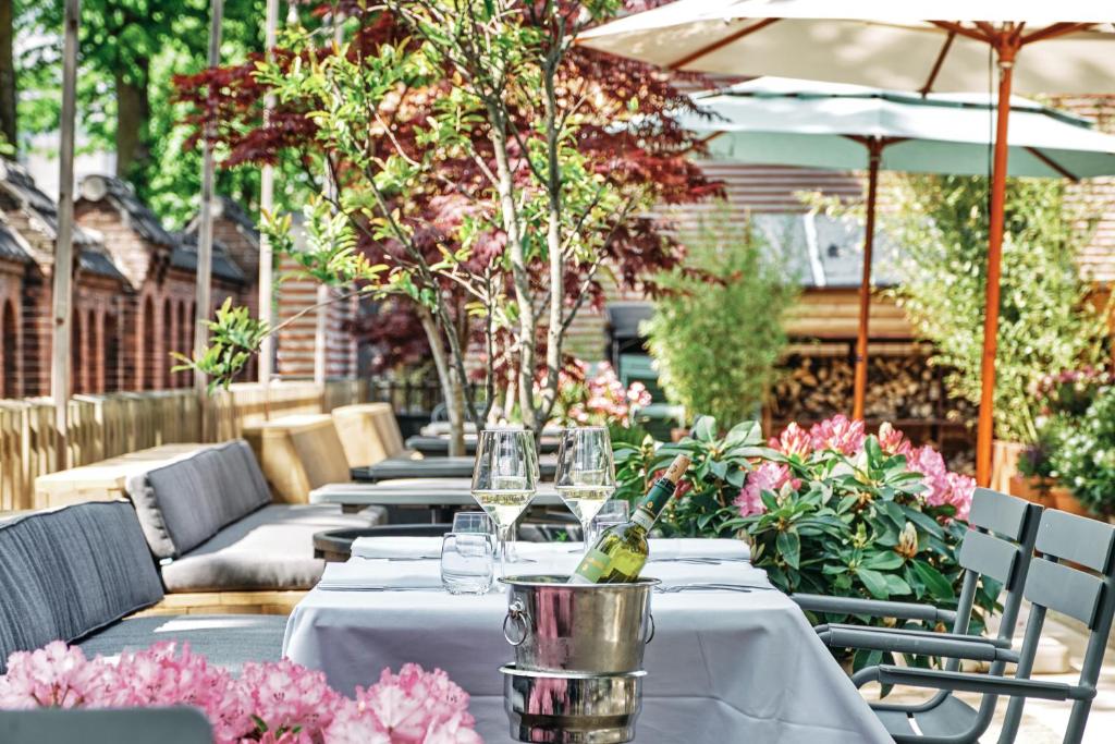 Jardin de l'établissement Hotel Arena