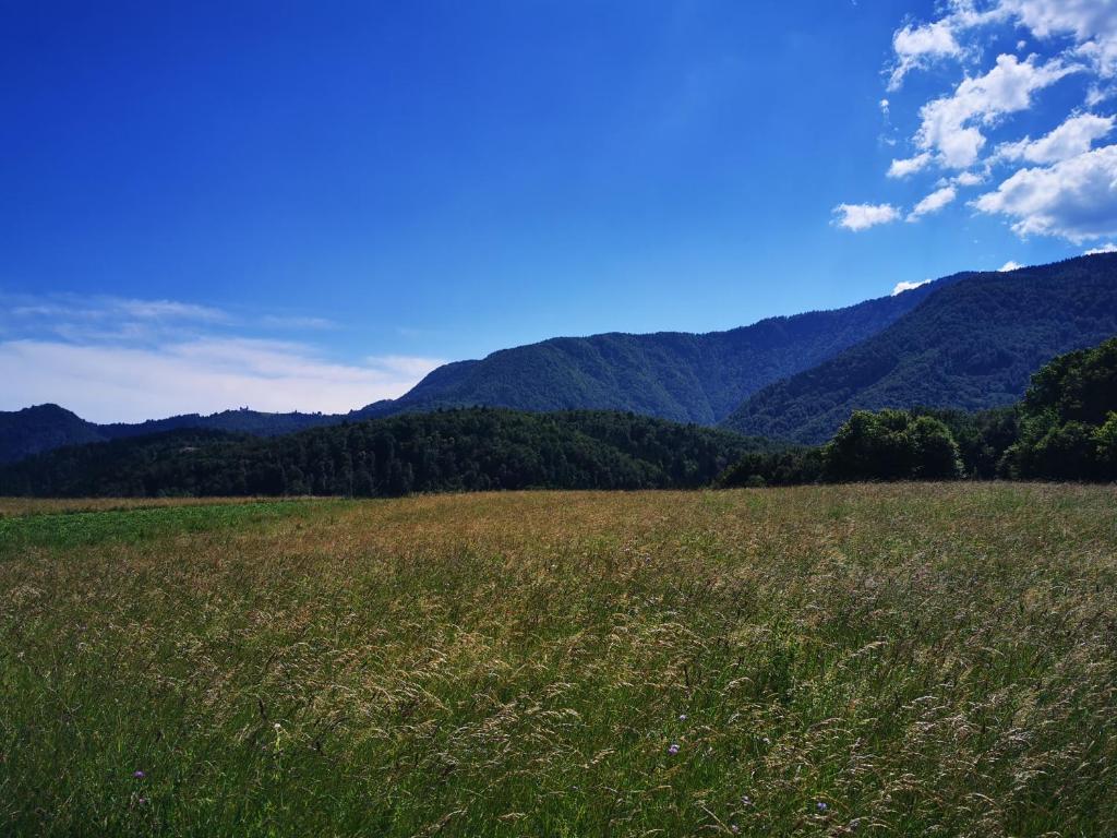 Příroda nedaleko apartmánu