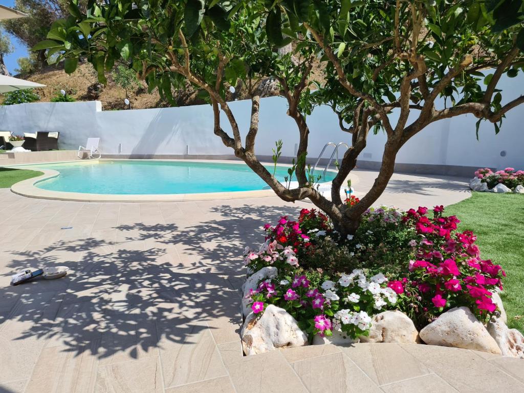 Πισίνα στο ή κοντά στο Skyview Cefalù