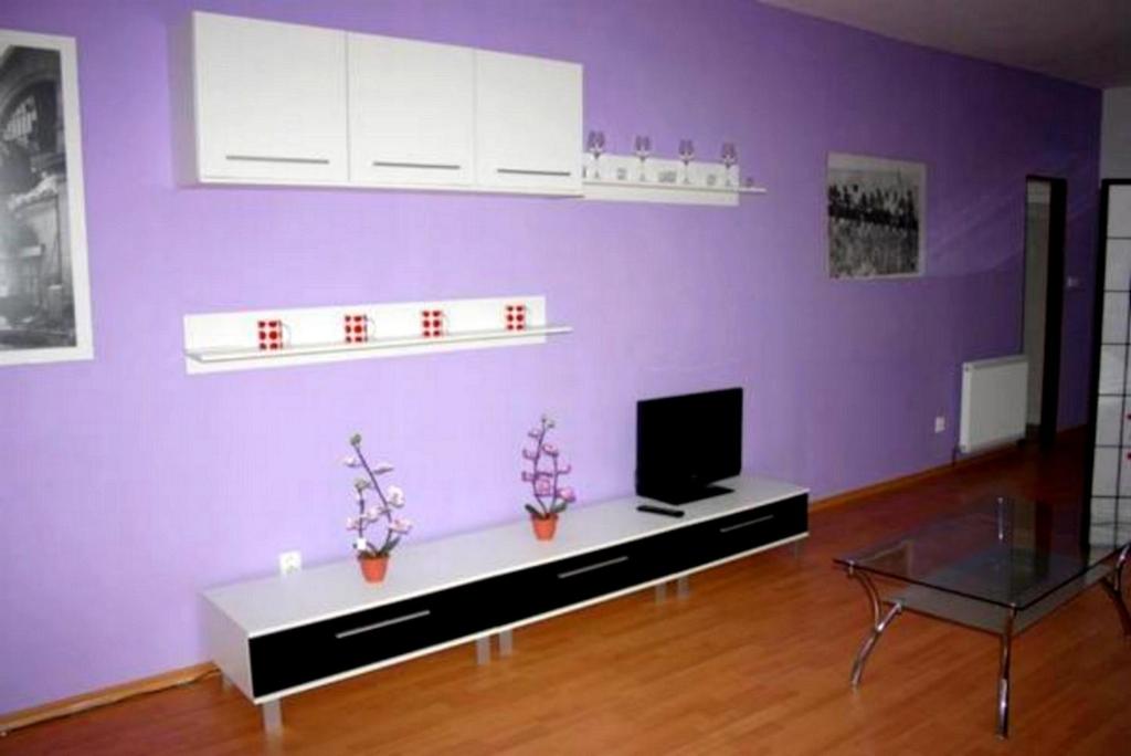 TV a/nebo společenská místnost v ubytování Ubytování Sušice