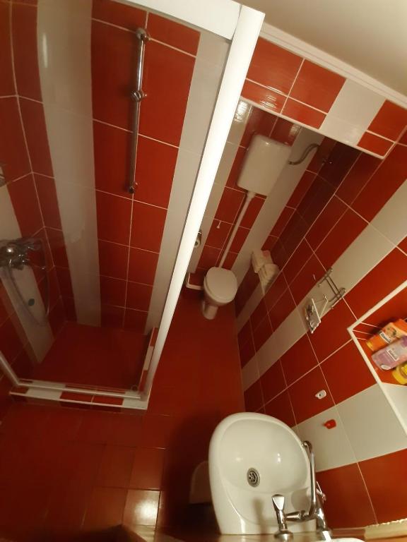 Apartman Panonsko more - Appartement D'une Chambre