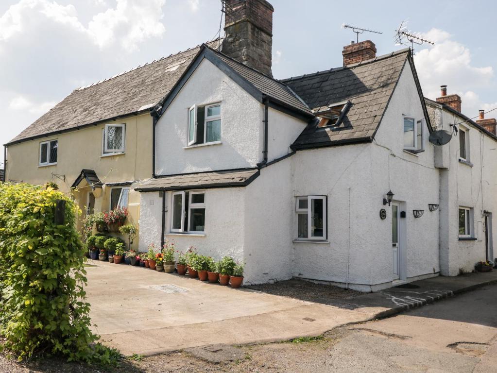 a white house with potted plants in front of it at Jessamine Cottage in Lydbrook