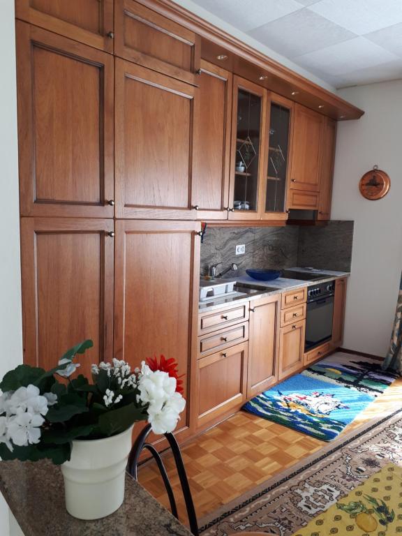 Kuchyň nebo kuchyňský kout v ubytování Casa Romana