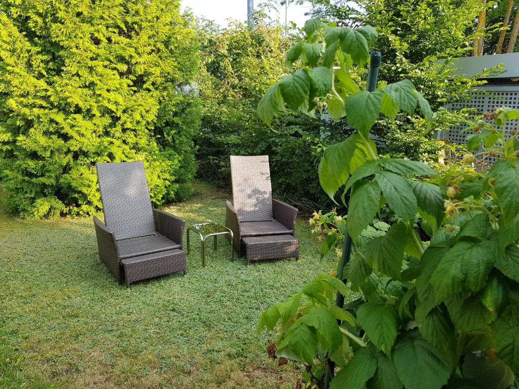 Zahrada ubytování Gästezimmer Aschenbrenner