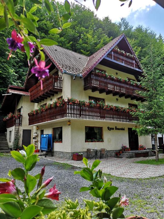 a house with balconies and flowers in front of it at Raza Soarelui in Moieciu de Sus