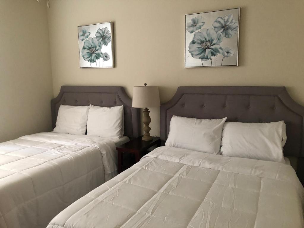 Lavish Apartment near Houston Medical Centre - Appartement