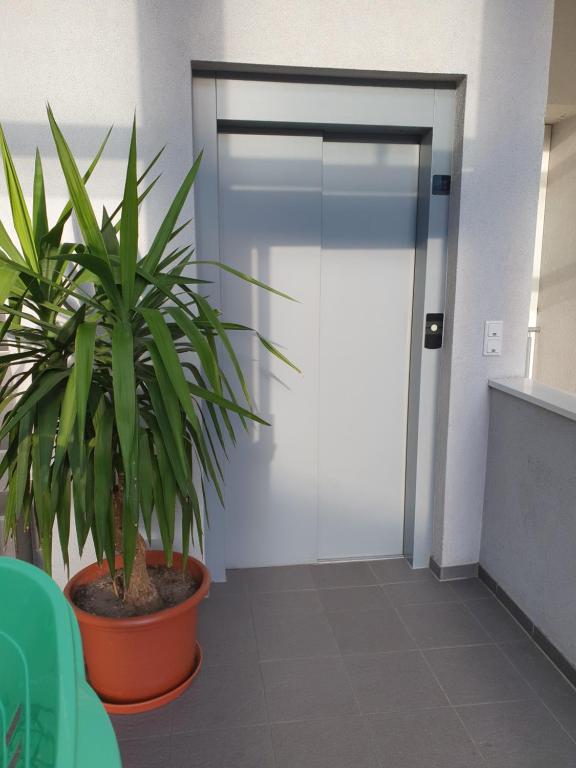Fotografie z fotogalerie ubytování Ferienwohnung Anjele v destinaci Höchst