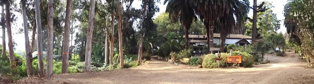 Jardín al aire libre en Posada del Parque