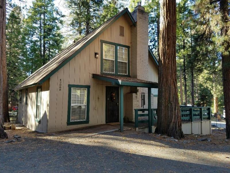 a small house in the middle of a forest at Maul Cabin in Shaver Lake