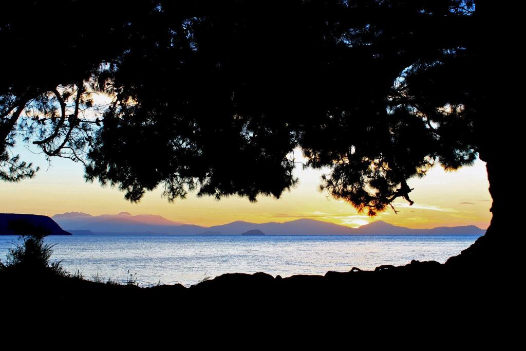 Acacia Lake View Motel - Resim 9