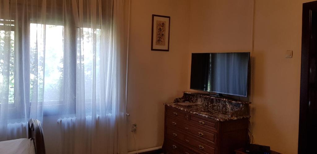 TV a/nebo společenská místnost v ubytování La Mihai