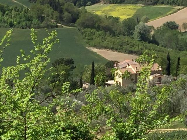 a house in the middle of a field with trees at Casa Natura in San Gimignano