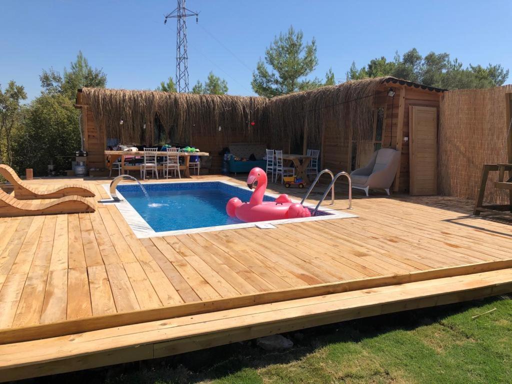 a pool with a rubber duck in a backyard at Mylasa Farm and Villas in Muğla