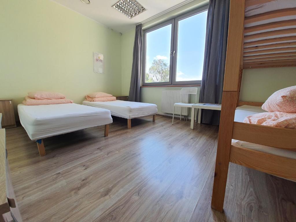 Sea Hostel - Chambre Quadruple Classique