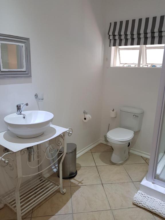 a bathroom with a sink and a toilet at Hunter's Lodge in Ladysmith