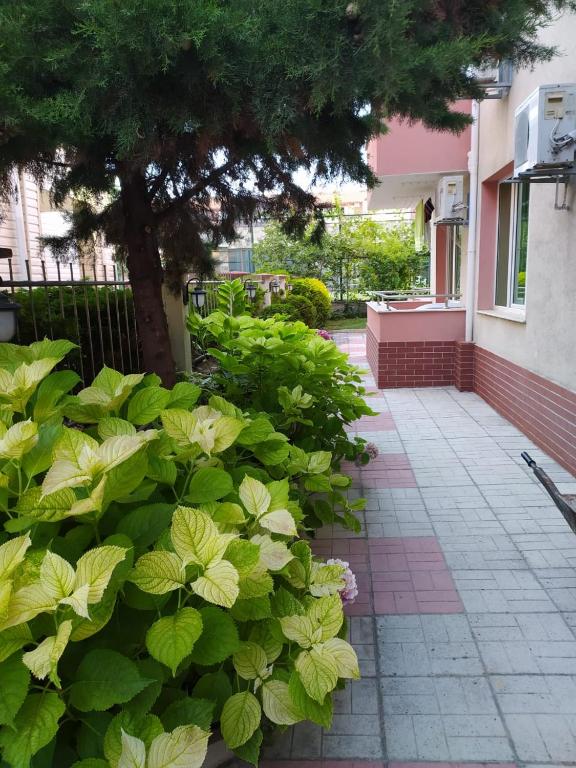 A garden outside Apartment in Complex TARA