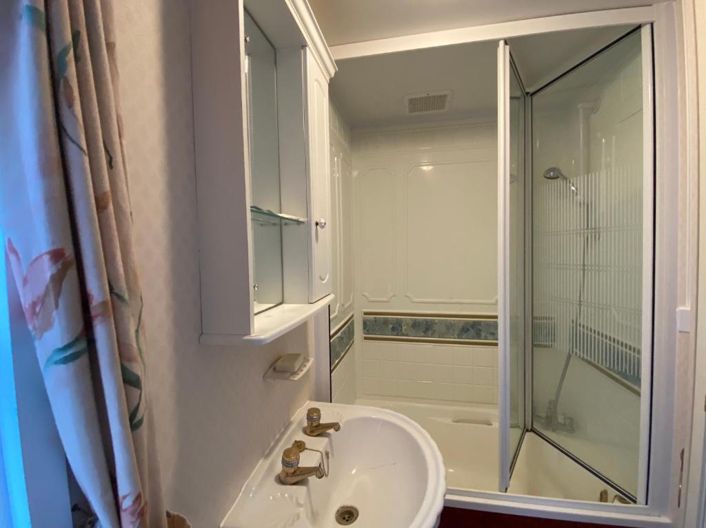 y baño blanco con lavabo y ducha. en Saliņmuižas namiņš, en Ranka