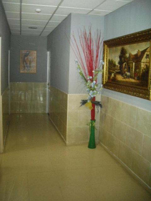 Fotografie z fotogalerie ubytování Hostal DS v destinaci Velilla de San Antonio