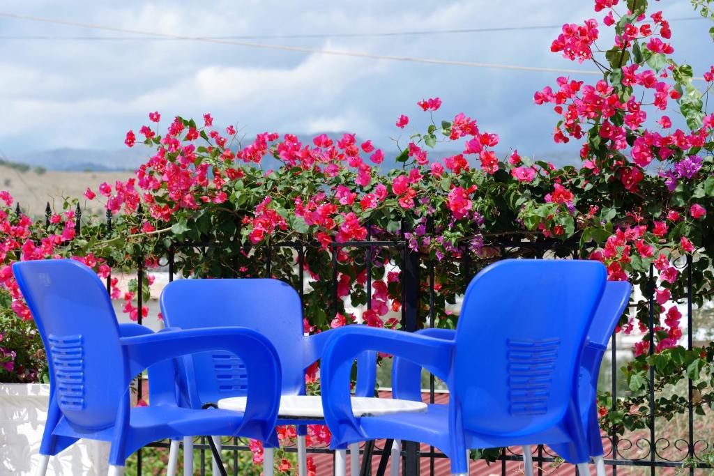 eine Gruppe blauer Stühle und rosafarbener Blumen in der Unterkunft Villa Kela in Ksamil