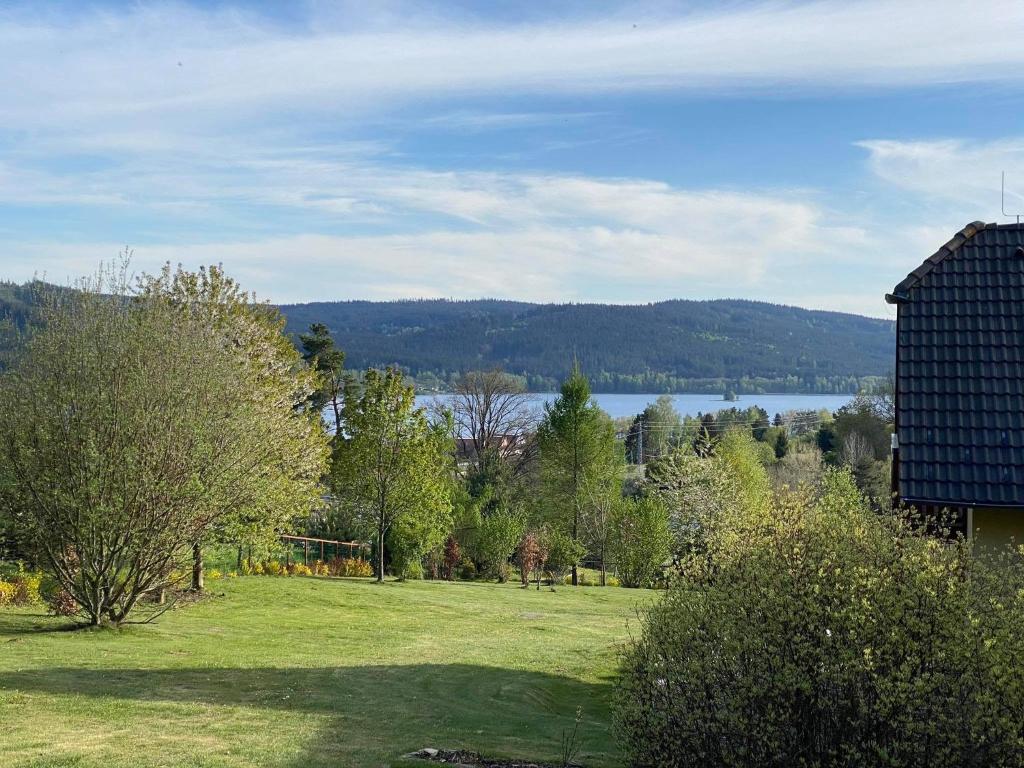 pole trawy z jeziorem w tle w obiekcie Villa Slupečná w mieście Lipno nad Vltavou