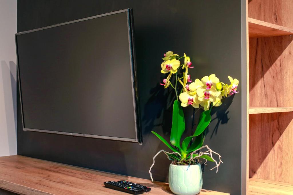 Fotografia z galérie ubytovania Apartament z ogrodem w centrum Limanowej v destinácii Limanowa