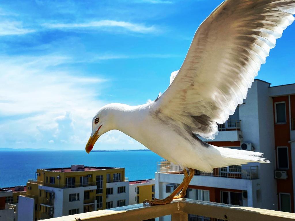 a white bird standing on top of a railing at Sea View Panoramic Apartments, Fort Noks Crown Club in Sveti Vlas