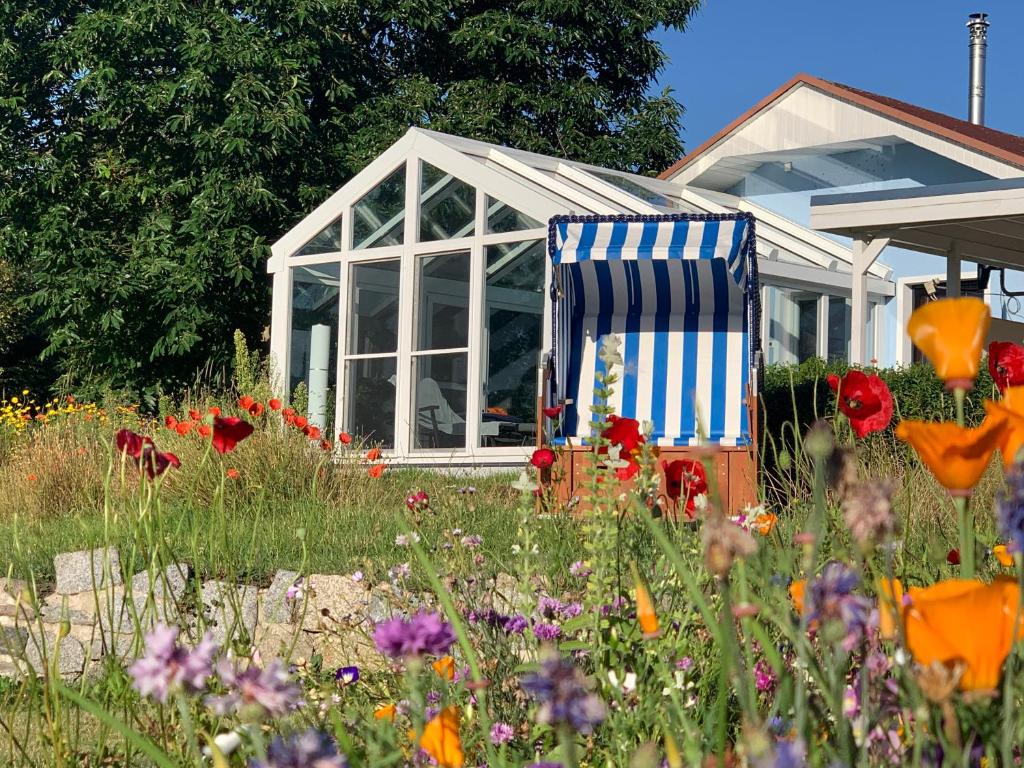 a chair in a field of flowers in front of a conservatory at Ferienhaus bei den Kreidefelsen - Ihr Zuhause auf Rügen in Lohme