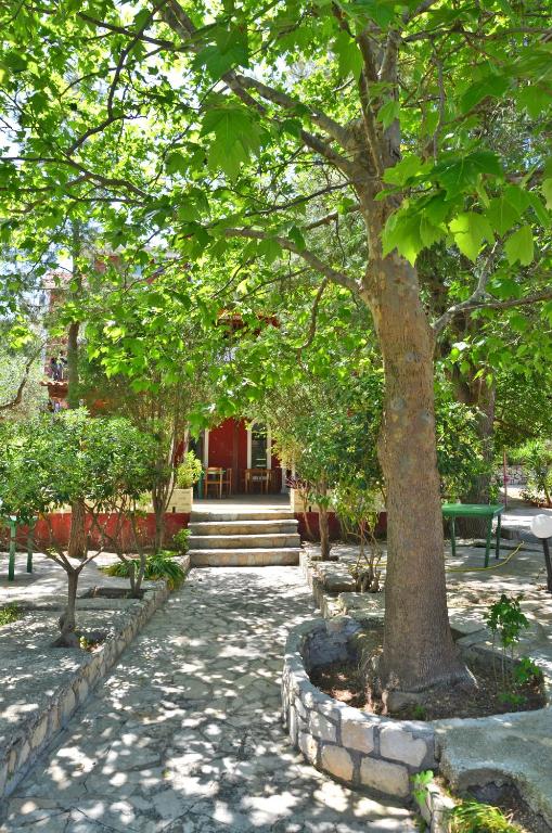 Zahrada ubytování Belvedere Zakynthos Studios