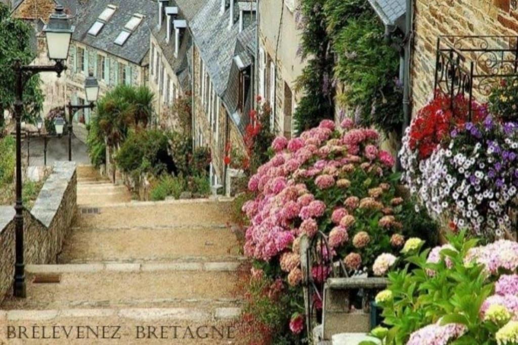 a group of stairs in a garden with flowers at brelevenez 18 rue crec h quellien in Lannion
