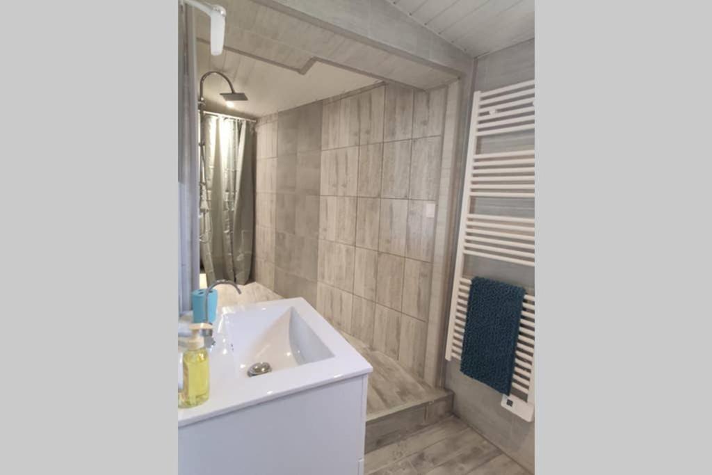 a bathroom with a white sink and a mirror at brelevenez 18 rue crec h quellien in Lannion