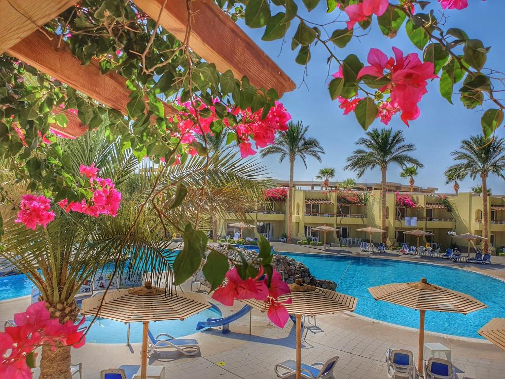 Bazén v ubytování Palm Beach Resort Families and Couples only nebo v jeho okolí