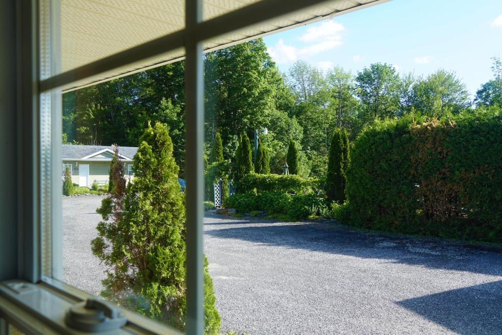 Zahrada ubytování Motel des Cèdres