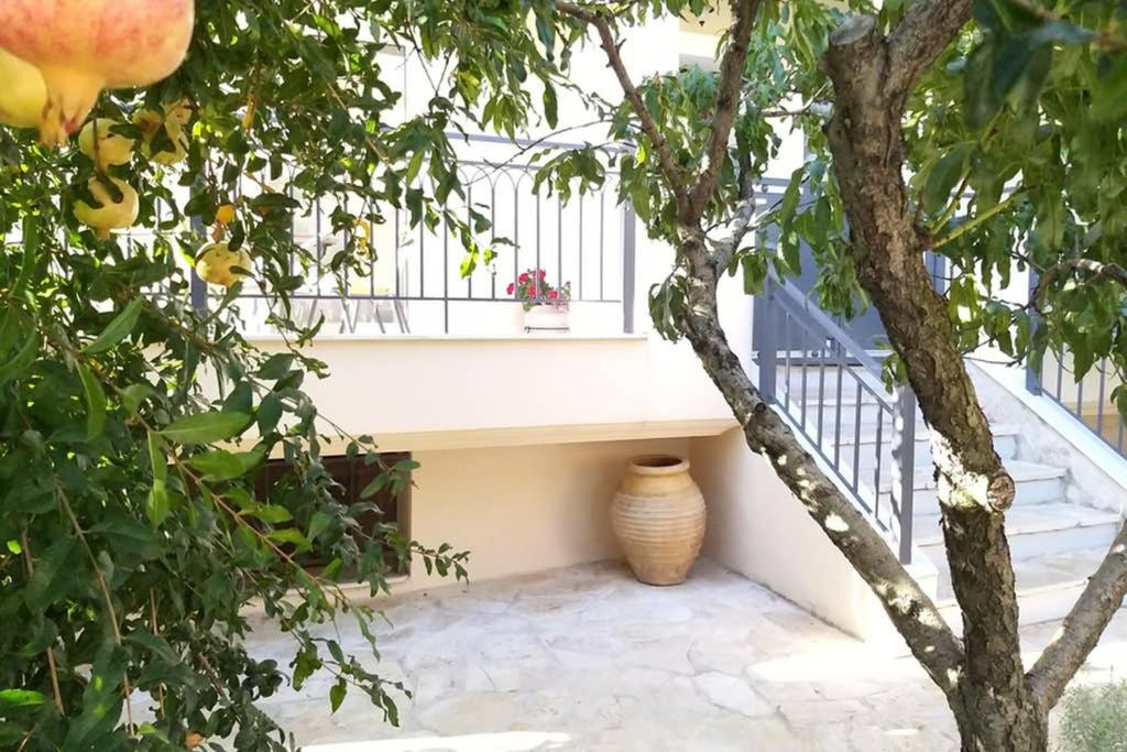 Vonkajšia záhrada v ubytovaní New, bright, cozy, autonomous apartment with private entrance and garden, 42 m2, 5min to the beach and city center
