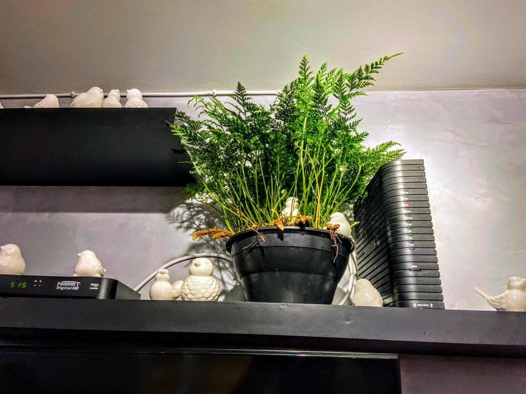  Apartamento Sofisticado no Centro de Goiânia