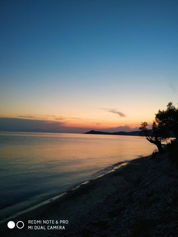 Gallery image of Villa Nadia in Nea Skioni