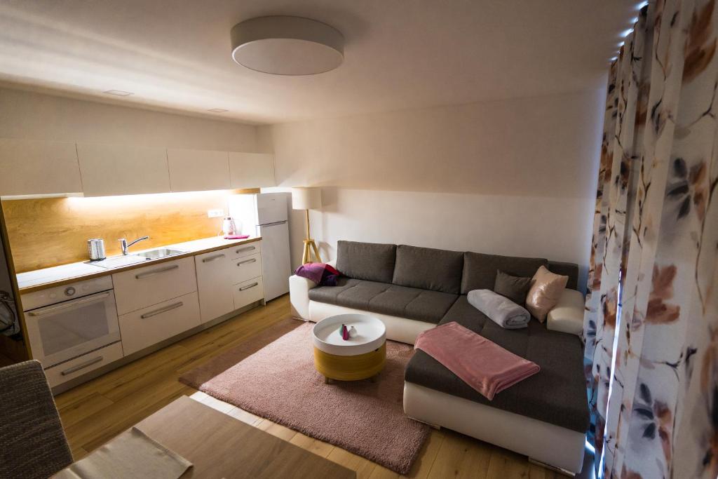 ein Wohnzimmer mit einem Sofa und einer Küche in der Unterkunft Apartmány EMA a PETER in Terchová