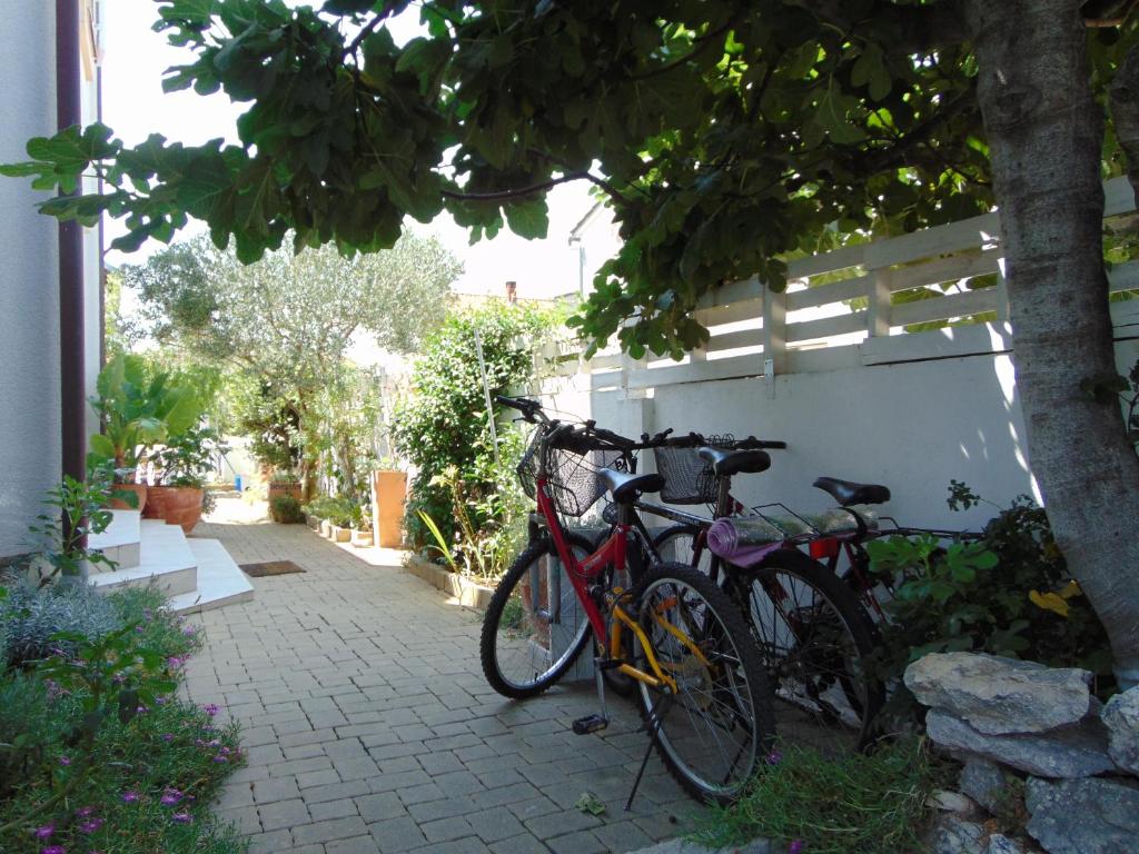 Jízda na kole v ubytování Apartments Petra nebo okolí
