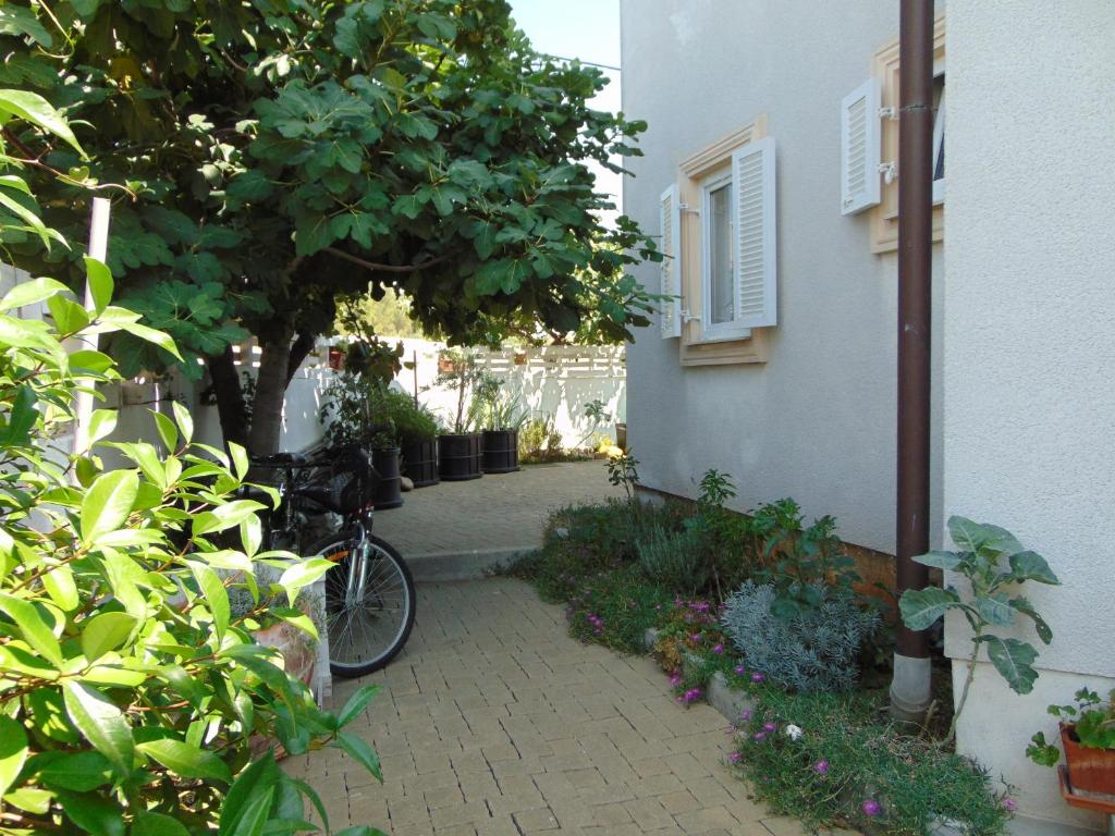 Jízda na kole v ubytování Apartments Petra nebo okolí