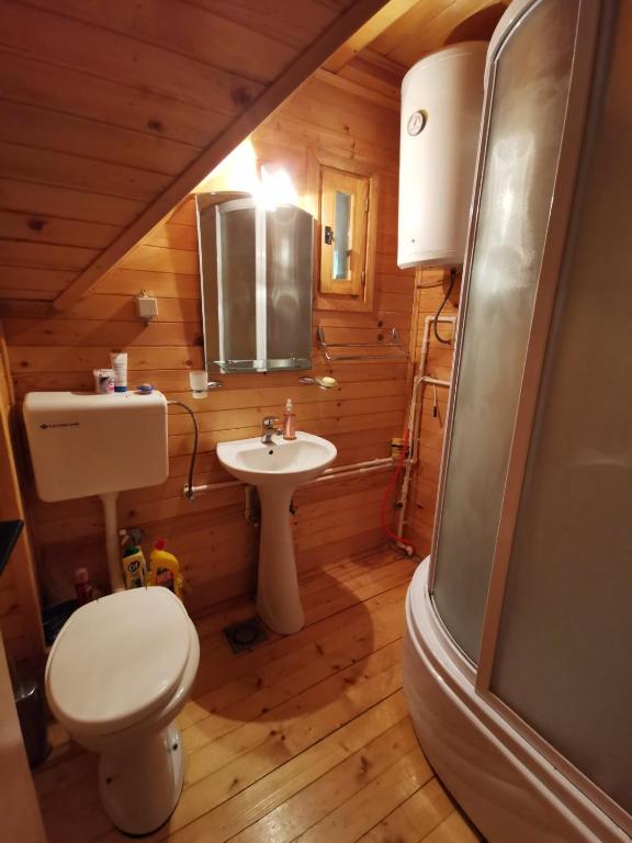 Koupelna v ubytování Apartman Bugar