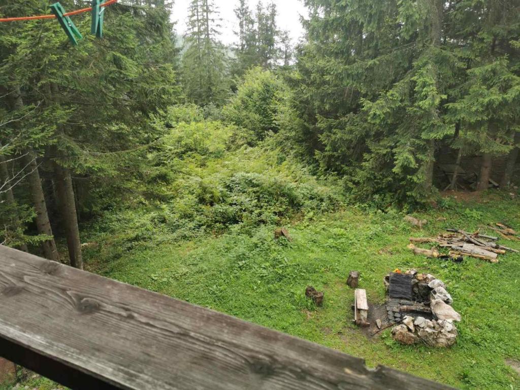 Příroda nedaleko apartmánu