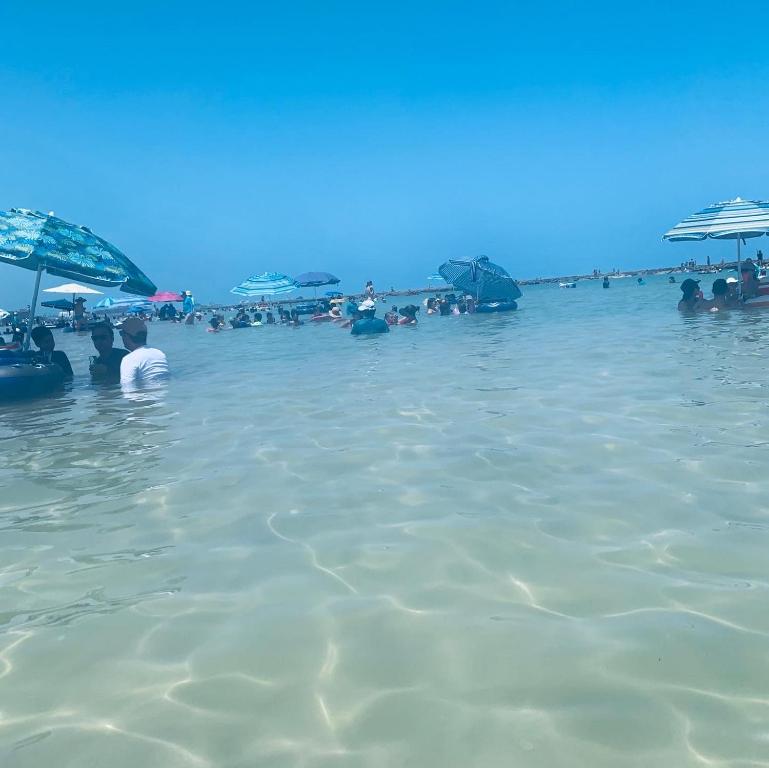  Aquazul Flat - Flat Maravilhoso em Porto de Galinhas (Limpíssimo e Aconchegante)