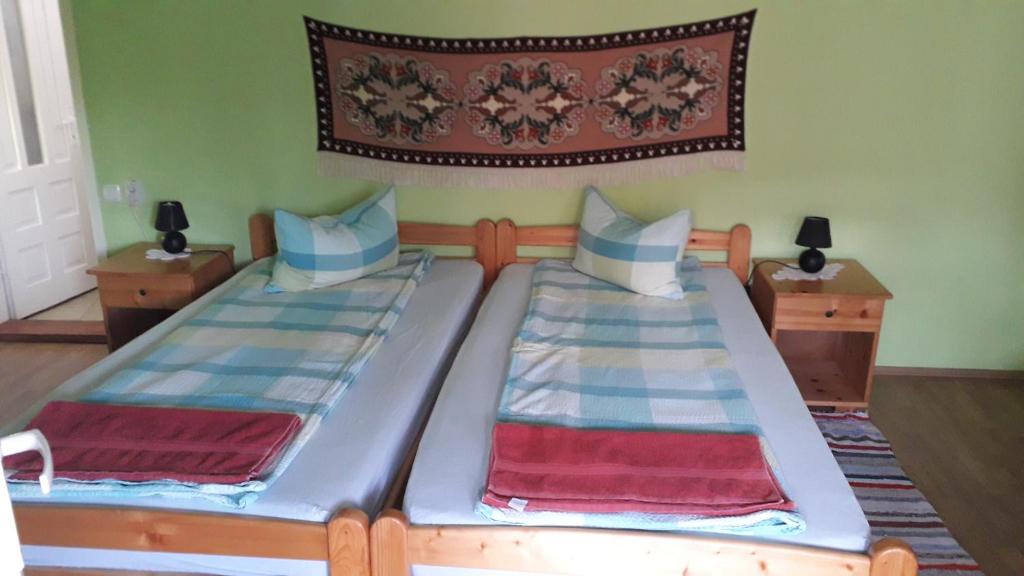 two twin beds in a bedroom with green walls at Pensiunea Shalom in Sîncraiu