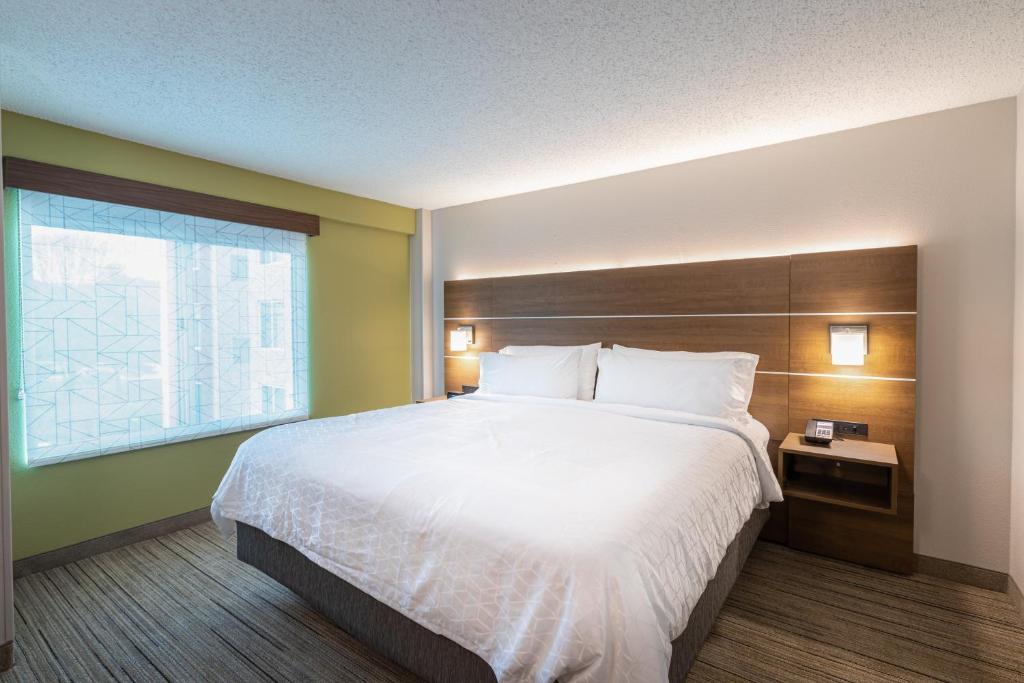Holiday Inn Express & Suites Asheville Downtown by IHG - King Suite - Non-fumeur