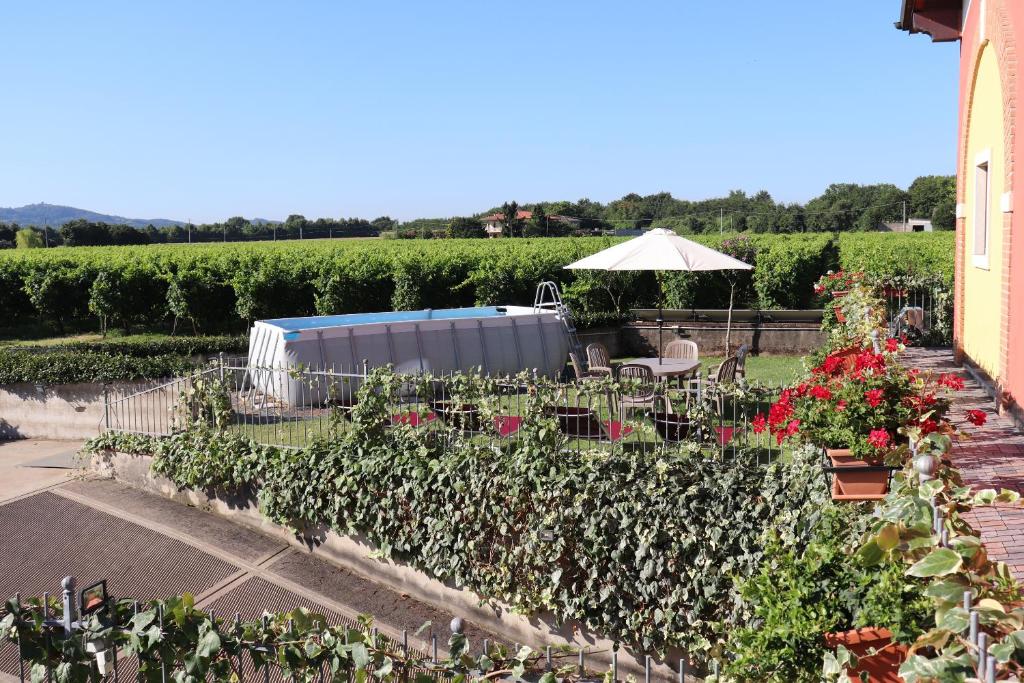 A garden outside El Canfin