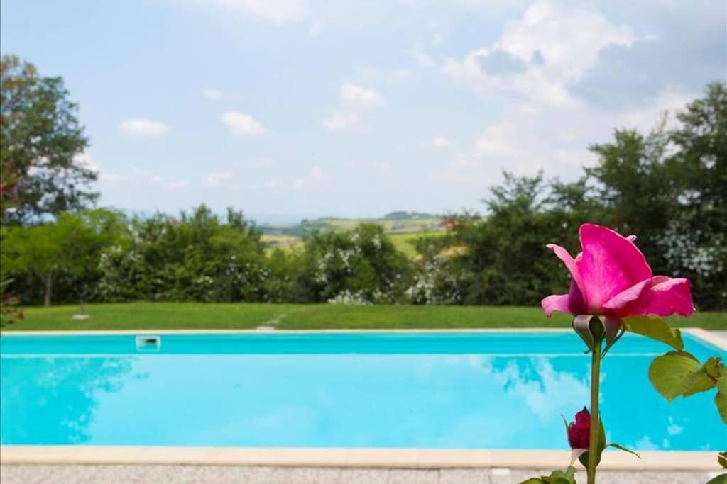 una flor rosa sentada junto a una piscina en Premiere Apartments - Residenza Le Rose nel Chianti, en Lornano