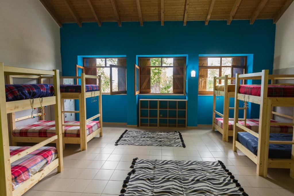 um quarto com beliches e uma parede azul em Casa do Caminheiro em Lousã