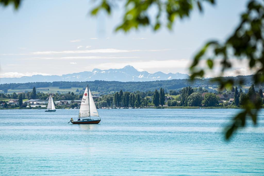 two boats on a lake with mountains in the background at Lakeside Apartment - Seeufer Apartment in Allensbach