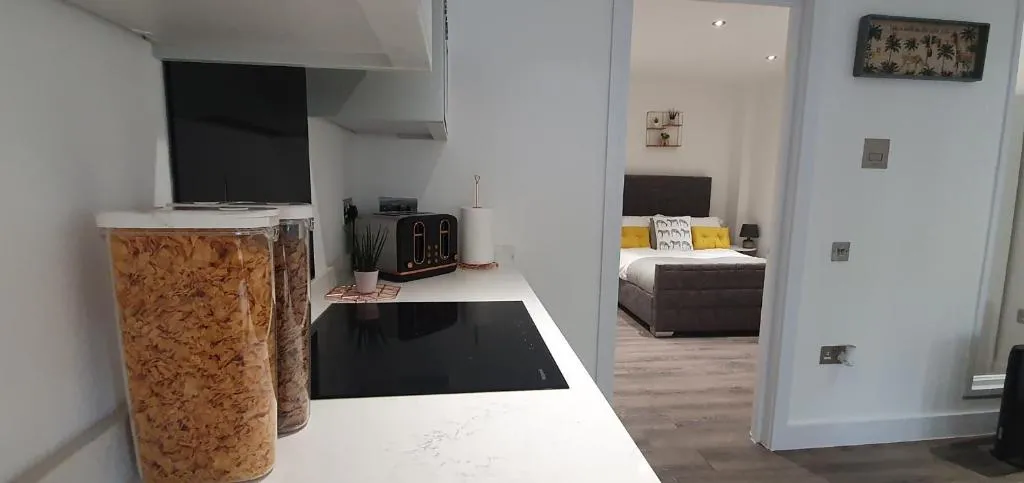 Wildly interesting. 1 bedroom serviced apartment, Reading, Marea Britanie